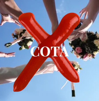 Taxa para noiva não jogar o buquê para sua companheira